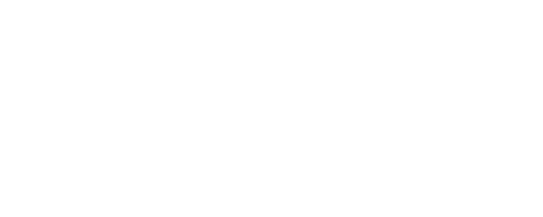 bizchitchat.ai